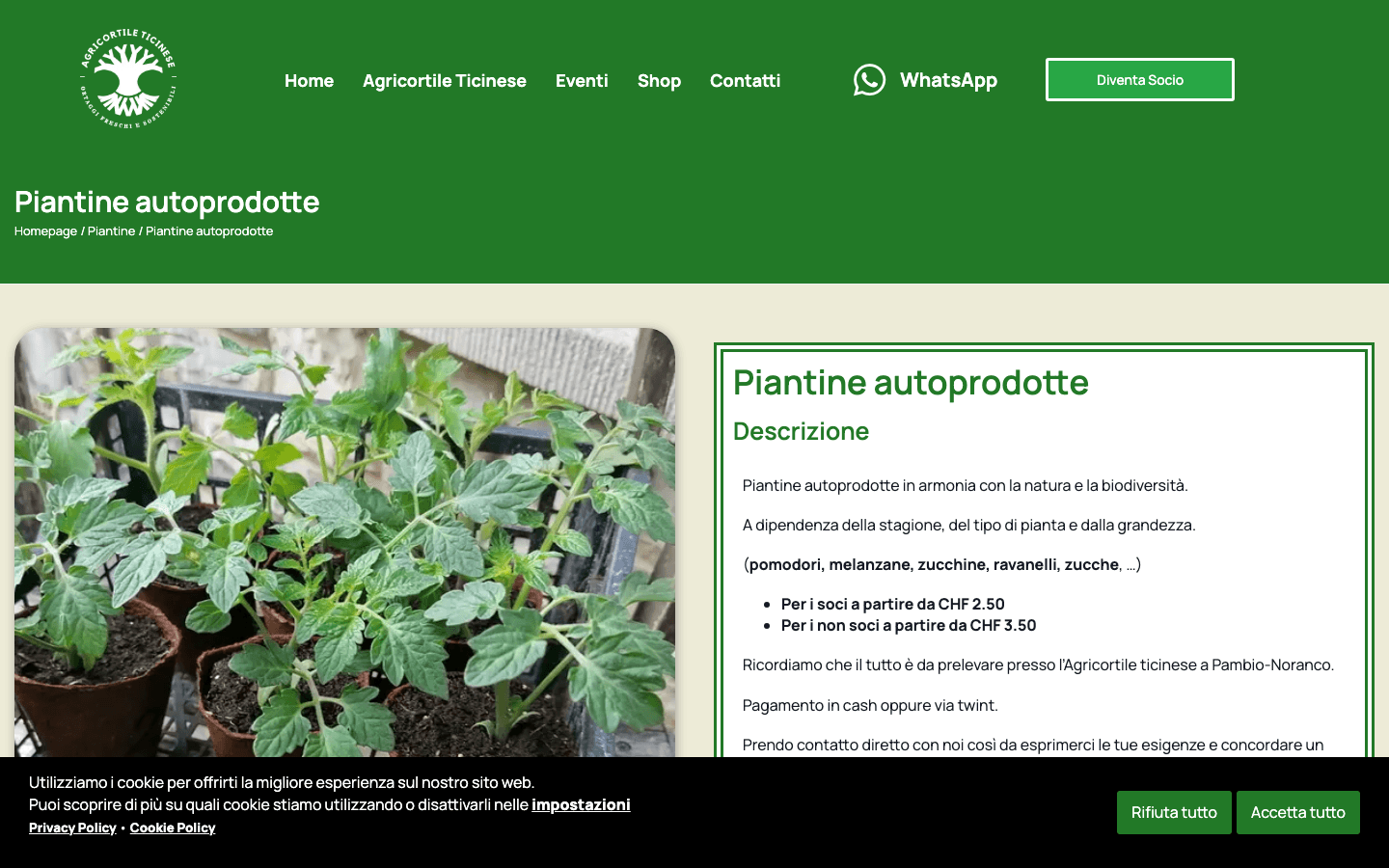 Agricortile Ticinese - piantine autoprodotte km zero