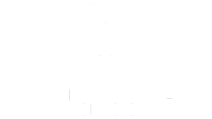 Centro Servizi Ticino